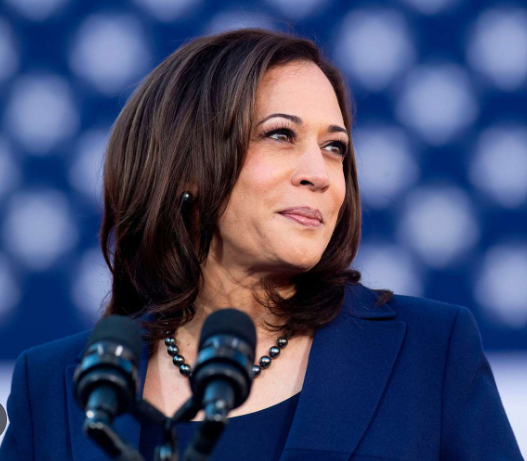 Read more about the article Kamala Harris Biography: Age, Political Career, Personal Life, Publications & Social Media